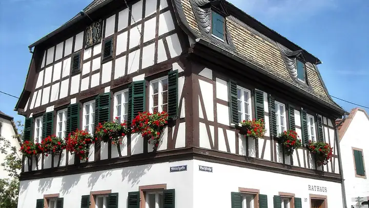 Ansicht von Alsheim