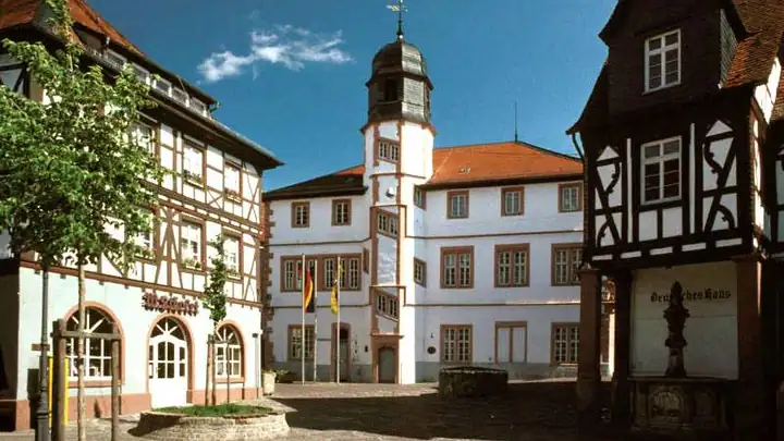 Ansicht von Alzey