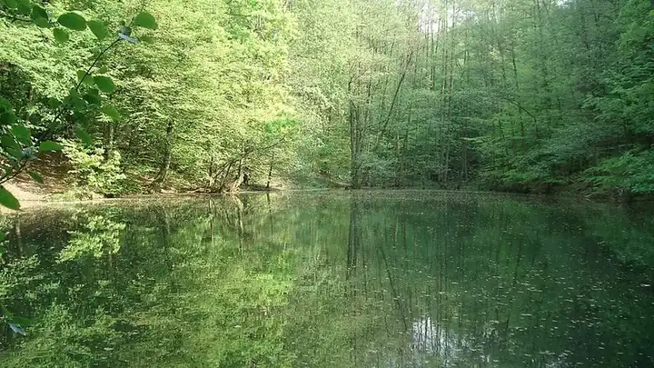 Ansicht von Bessenbach
