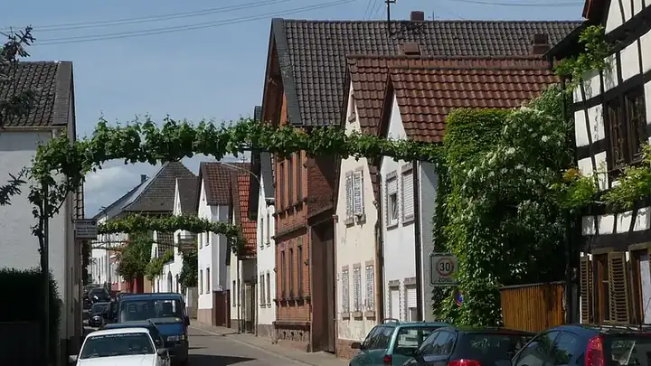 Ansicht von Ellerstadt