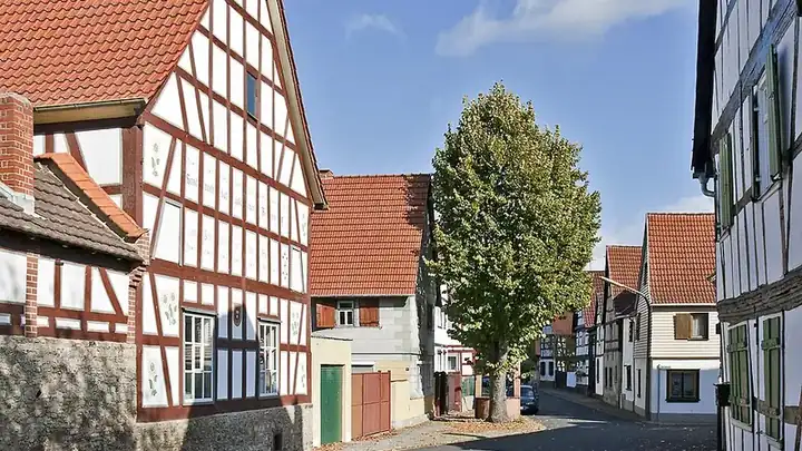 Ansicht von Erlensee