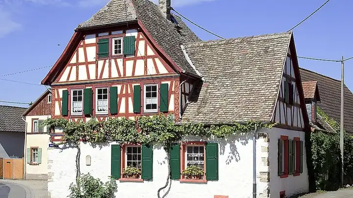 Ansicht von Friesenheim