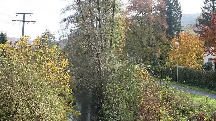 Ansicht von Heimbuchenthal