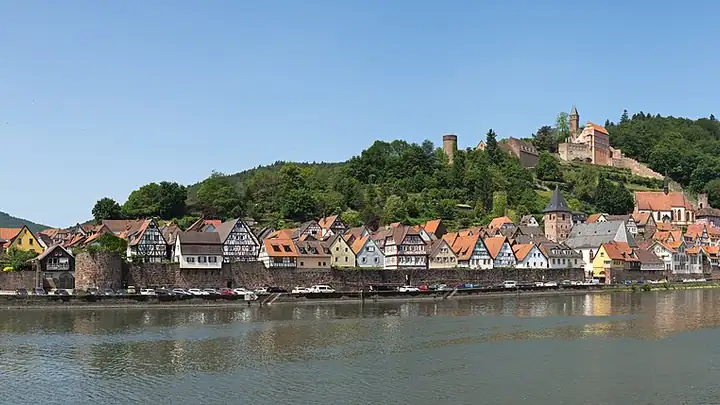 Ansicht von Hirschhorn