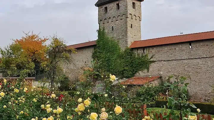 Ansicht von Kirchheimbolanden