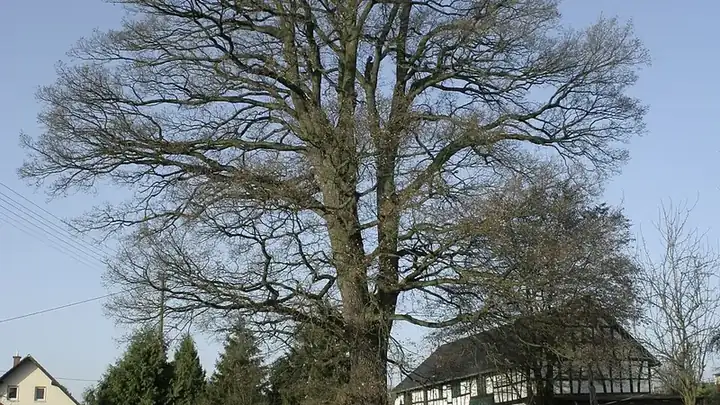 Ansicht von Kraam