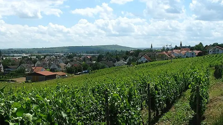 Ansicht von Langenlonsheim