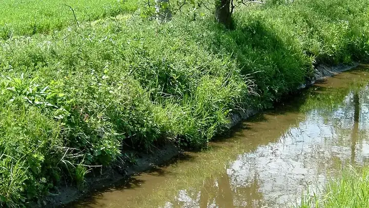 Ansicht von Laumersheim
