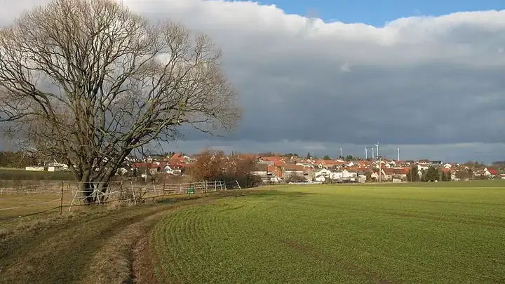 Ansicht von Mücke