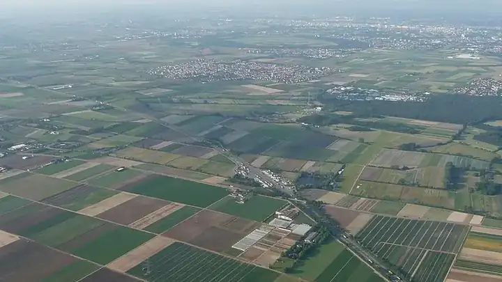 Ansicht von Mutterstadt