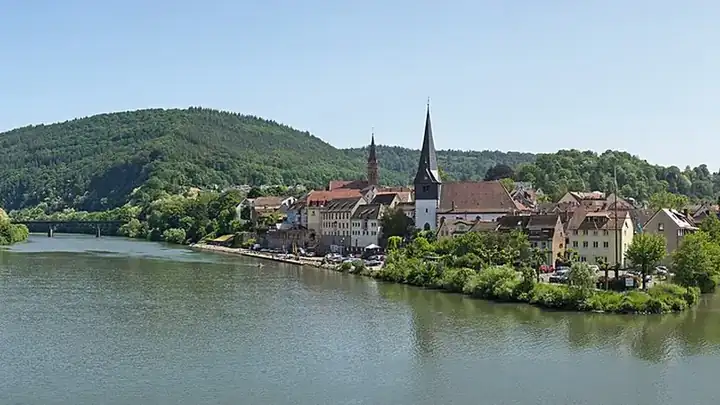 Ansicht von Neckargemünd
