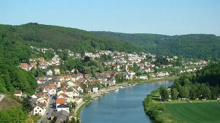 Ansicht von Neckarsteinach