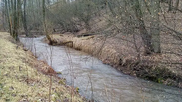 Ansicht von Neuhütten