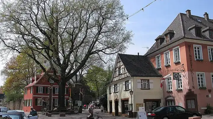 Ansicht von Nierstein
