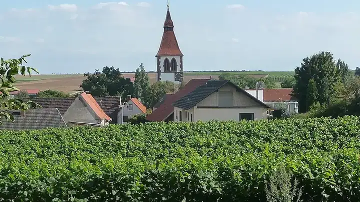 Ansicht von Obrigheim