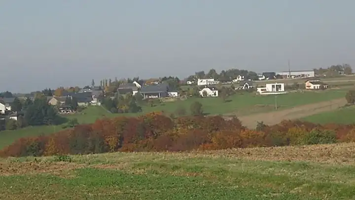 Ansicht von Panzweiler