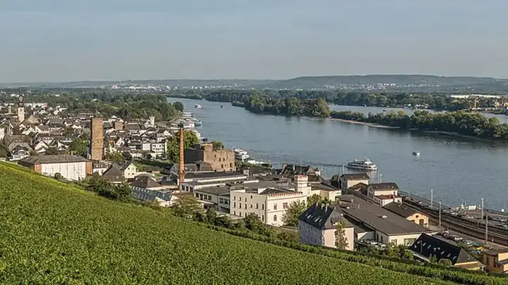 Ansicht von Rüdesheim am Rhein