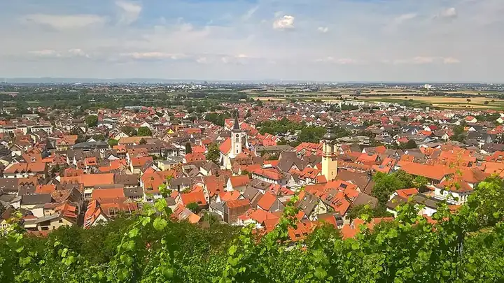 Ansicht von Schriesheim