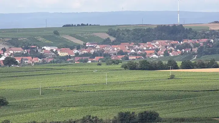 Ansicht von Spiesheim