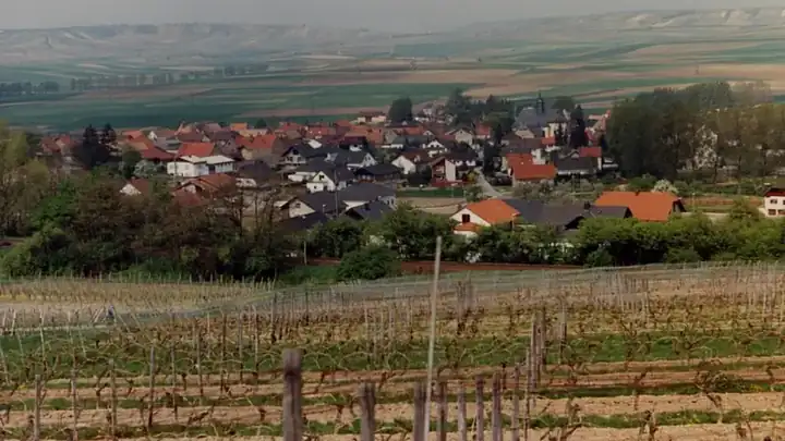 Ansicht von Sulzheim