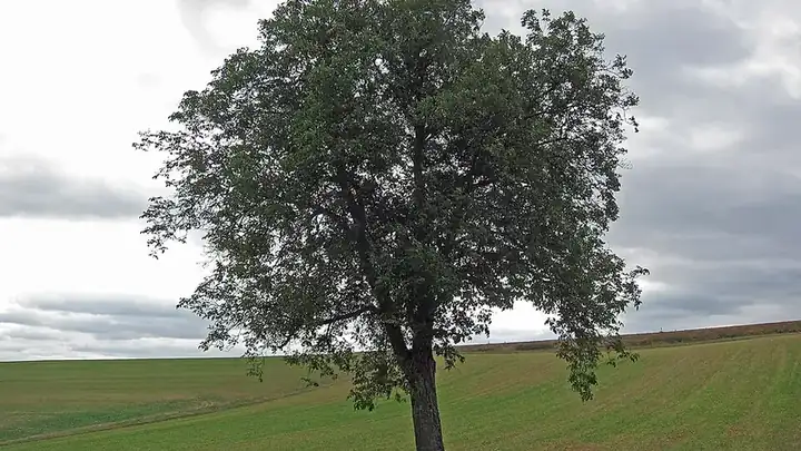 Ansicht von Urspringen
