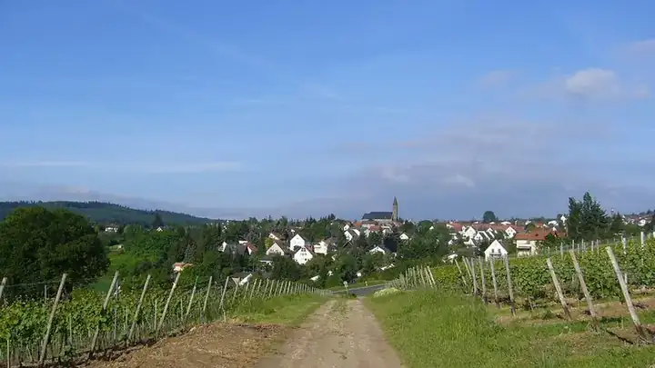 Ansicht von Weiler bei Bingen