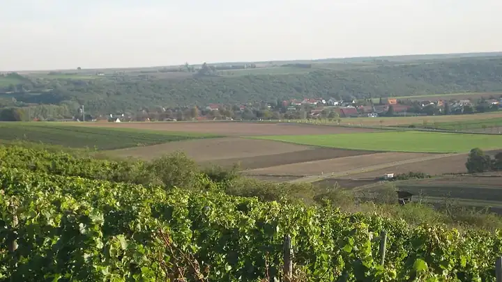 Ansicht von Wendelsheim